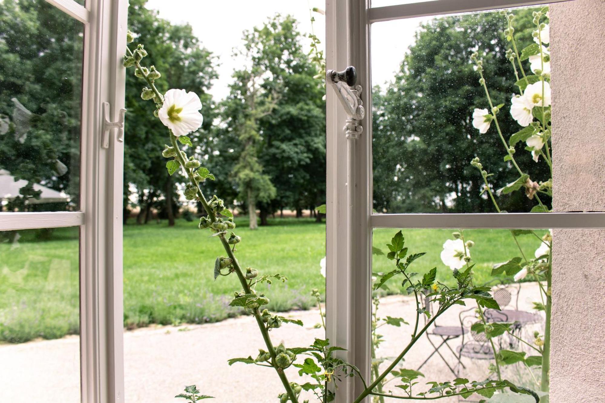 Gutshaus Zarchlin Apartment Barkhagen Ruang foto