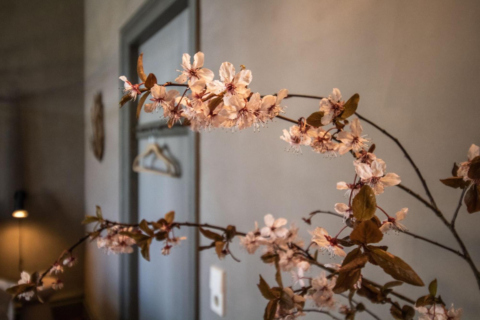 Gutshaus Zarchlin Apartment Barkhagen Ruang foto